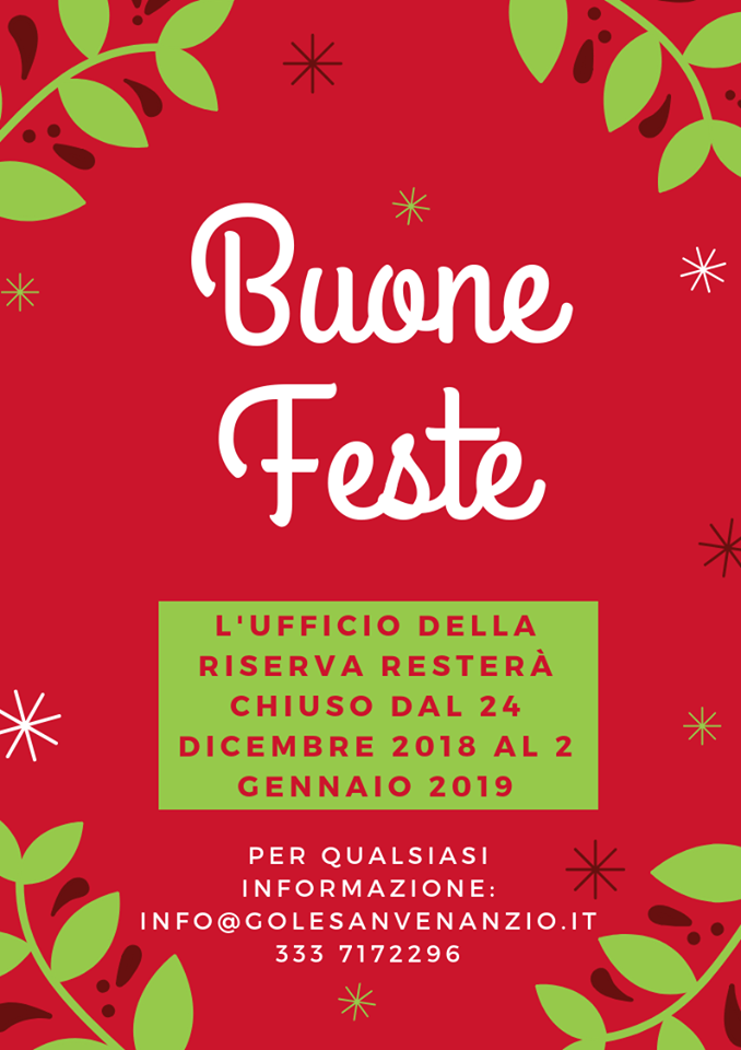 Read more about the article Buone feste